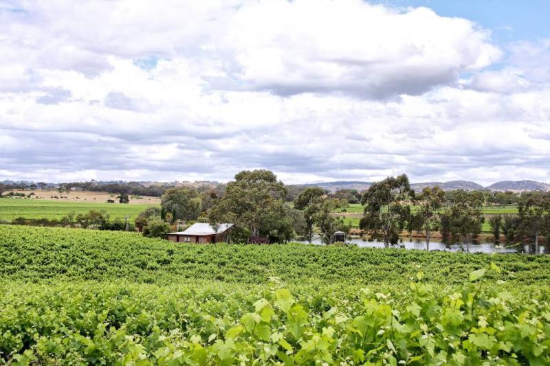 Stonewell Cottages & Vineyards Retreat Barossa Valley Exterior foto